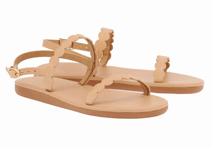 Sandales Bride Arrière Ancient Greek Sandals Aroula   | BAD-4913019